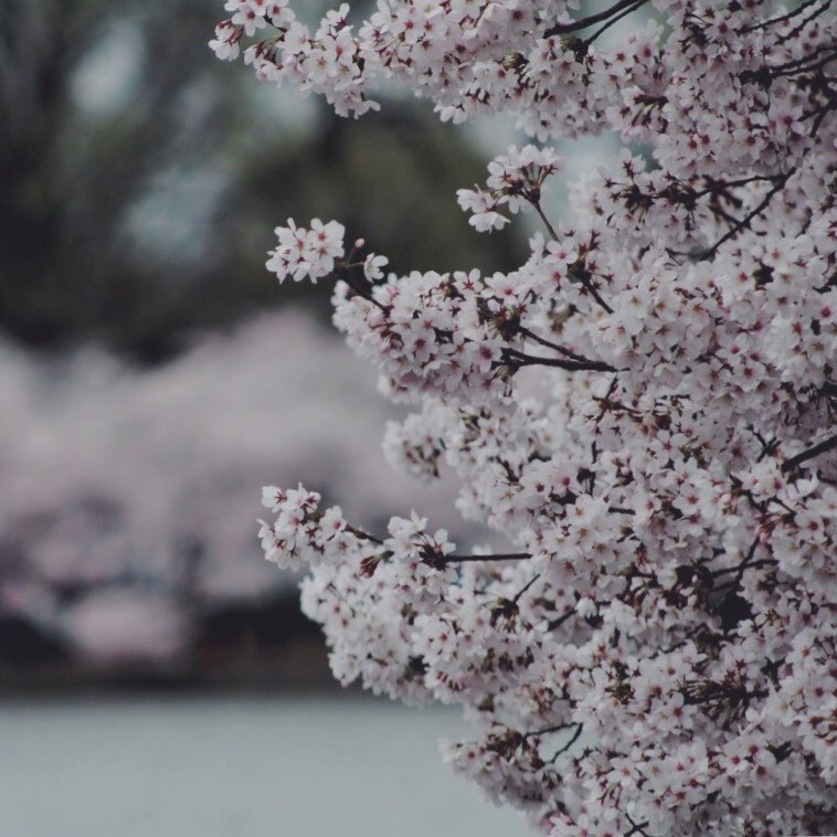 A Spring Navy Yard Weekend Itinerary