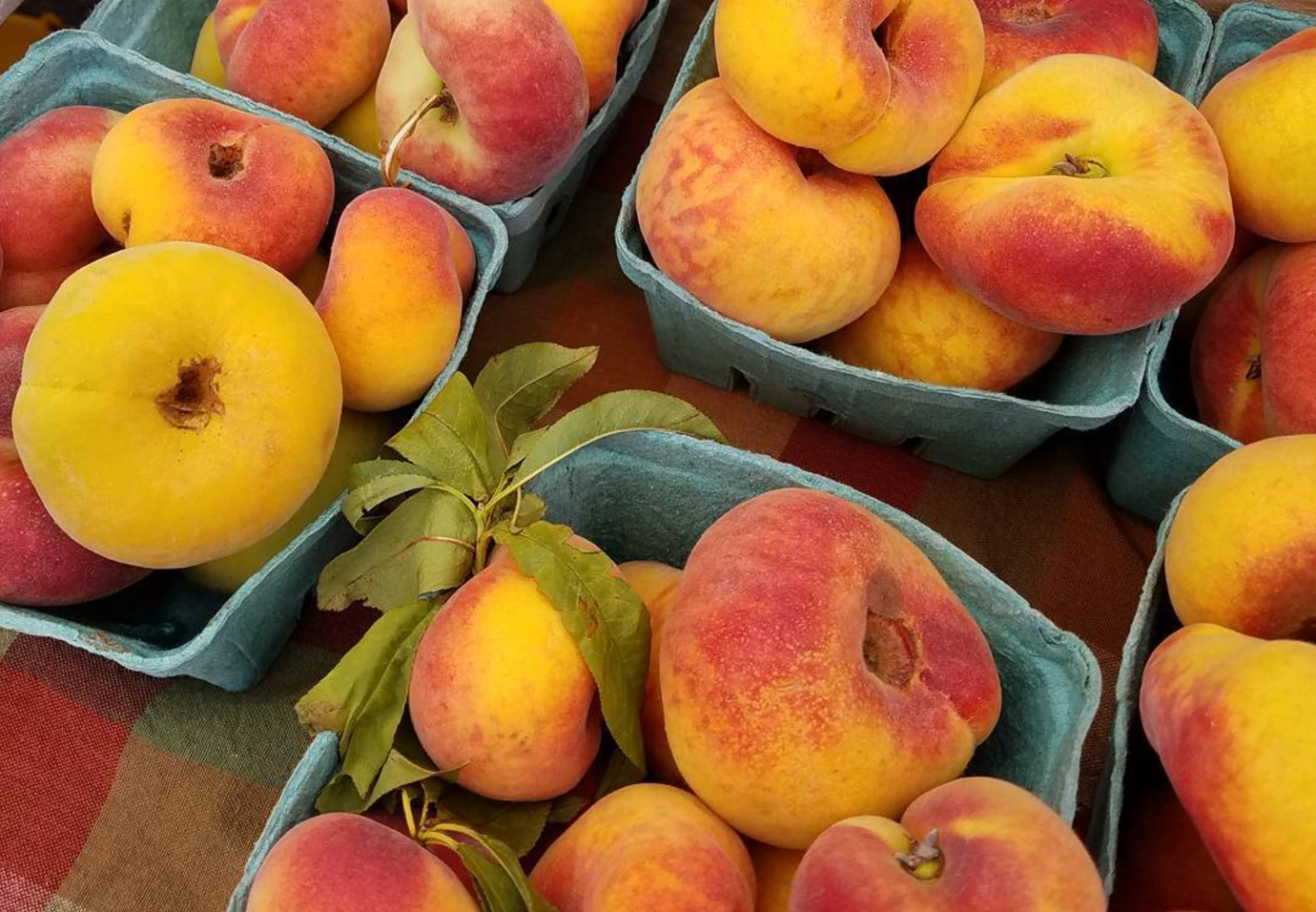 Screen Shot 2017-08-07 at 10.54.37 AM