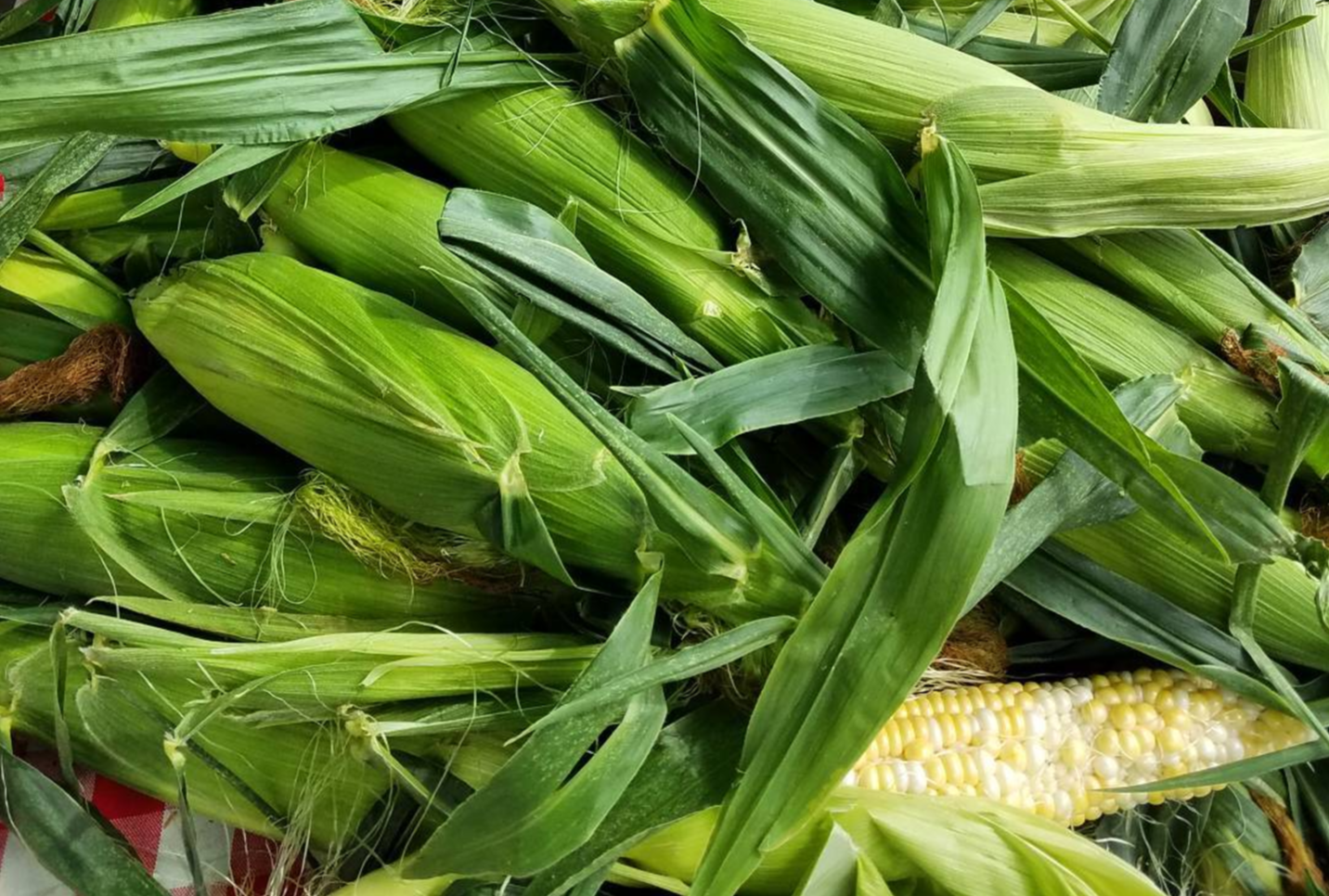 Screen Shot 2017-08-07 at 11.13.38 AM