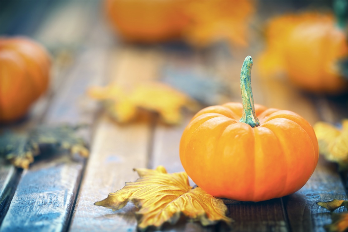 Fall Events in the Navy Yard