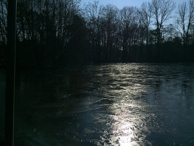 Anacostia River Explorers RiverSmart Educational Boat Tours